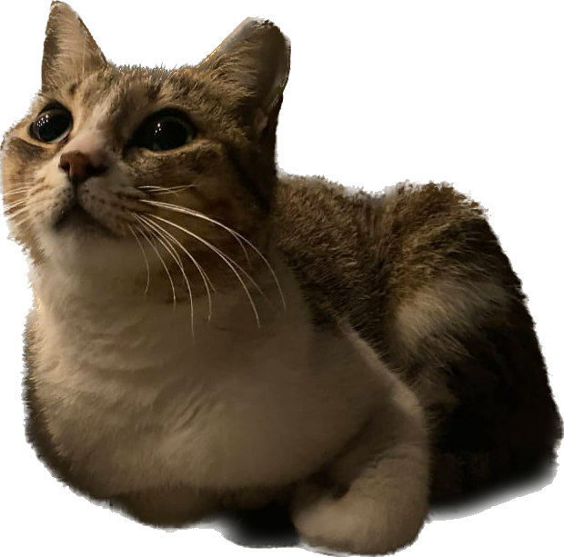 img2